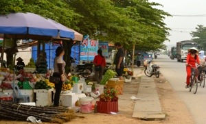 20121116-115029.jpg